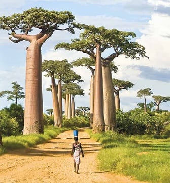 Road in Madagascar