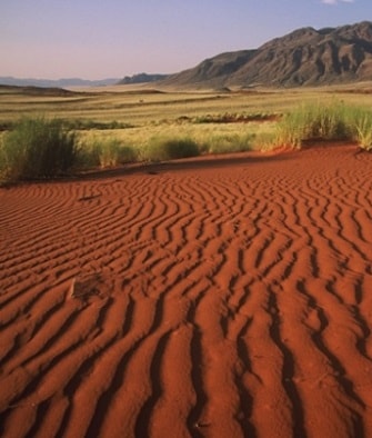 Kalahari Desert Picture